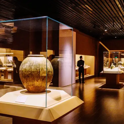 Immersive Exhibition Tours in Shanghai