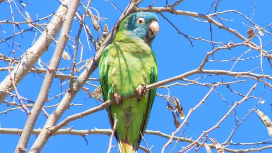 道格拉斯港野生動物棲息地