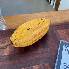 Sacred Grounds Coffee Farm User Photo