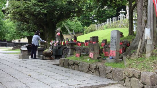 非常重要的寺，也是大型寺院，奈良公園的第一個寺院，五重塔非常