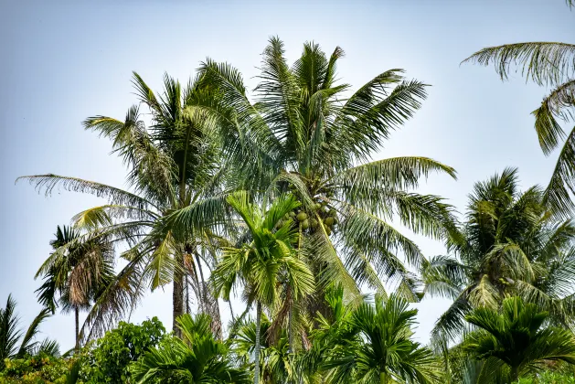 Пляж Отели в г. Дхиффуши