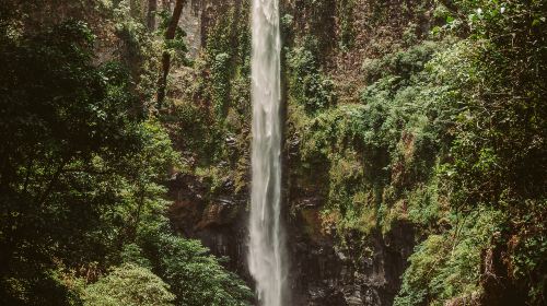 Niujiaozhai Waterfall Scenic Area