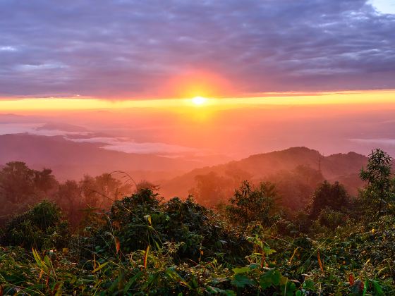 Horton Plains National Park