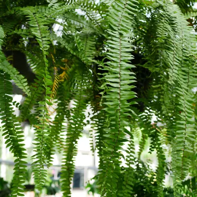 Отзывы об отеле Century Star Holiday Hotel (Nanyang Beijing Avenue Branch)