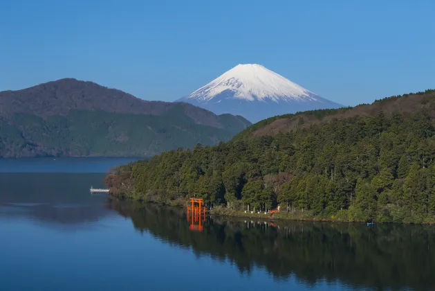 強羅/仙石原にあるホテル