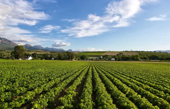 龍池山單車票成人