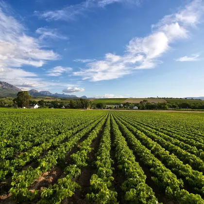Номер с видом на горы Отели в г. Исин