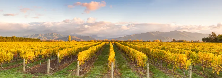 Отели с услугой бассейном в г. Иньчуань