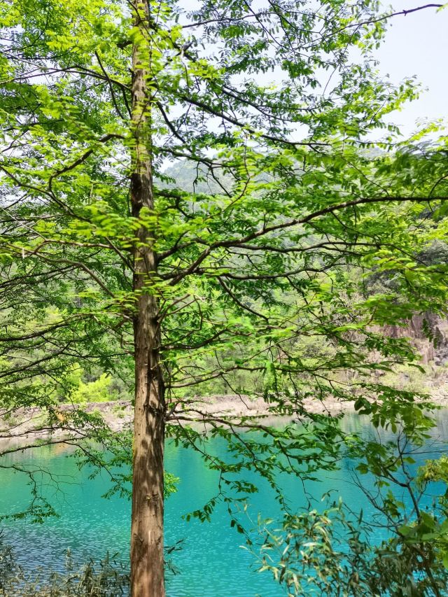 다치산 국립삼림공원
