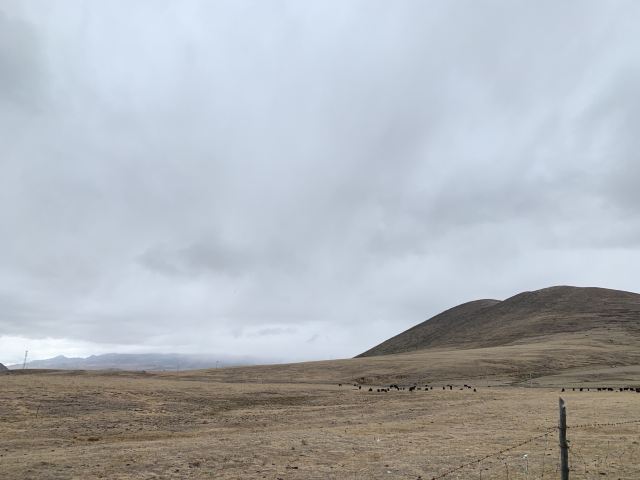 Lhagang Grassland