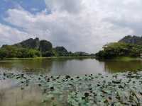 Longzhu Lake| Natural Combination