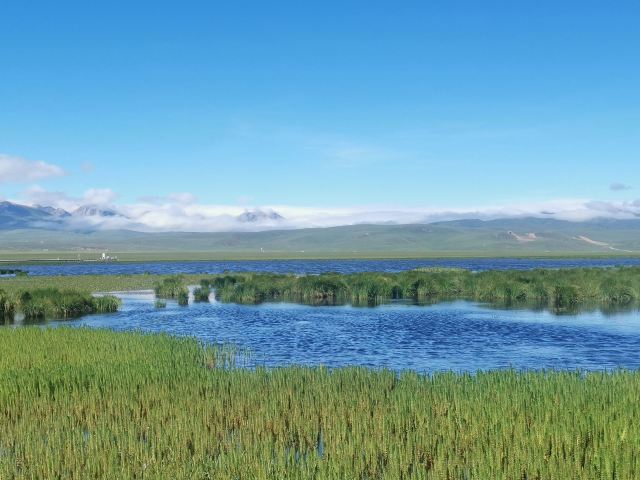 若爾蓋花湖生態旅遊區