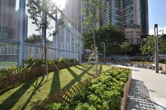 【2026寵物公園】12個狗公園推薦!全港室內外寵物好去處