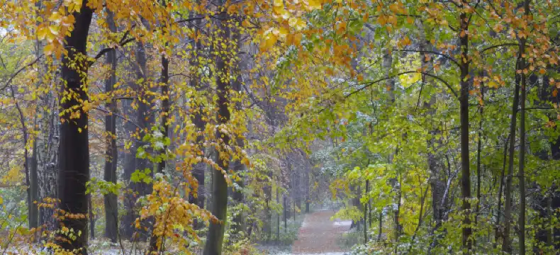 ケムニッツのホテル