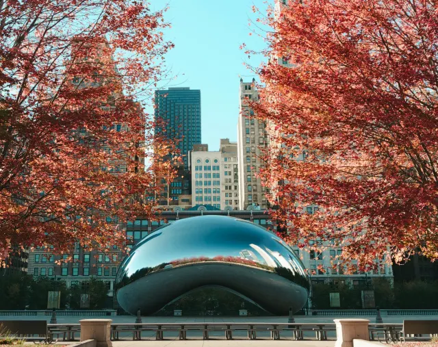 10 Fan Facts You May Not Know about The Bean Chicago