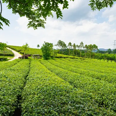 Hotels near Tianzhu Church