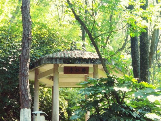 Wenzhou Jingshan Forest Park