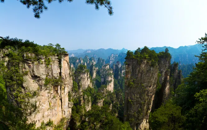 Zhangjiajie Lotus Garden 주변 호텔