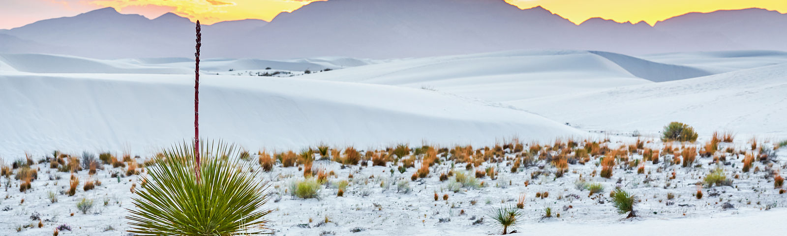 New MexicoTagestouren