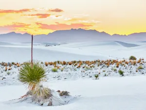 Parco nazionale White Sands