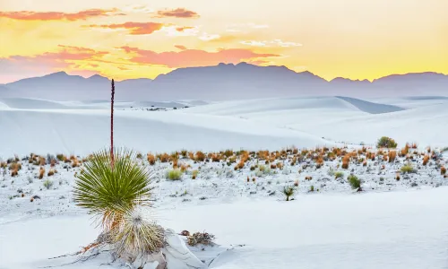 White Sands National Park