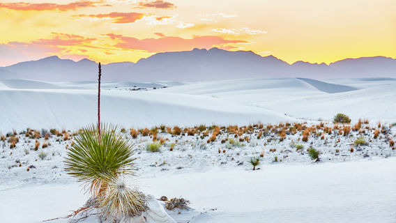 White Sands National Park