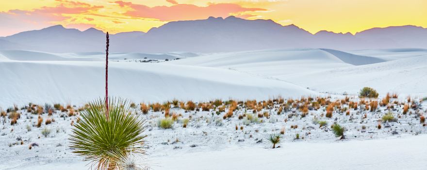 White Sands National Park