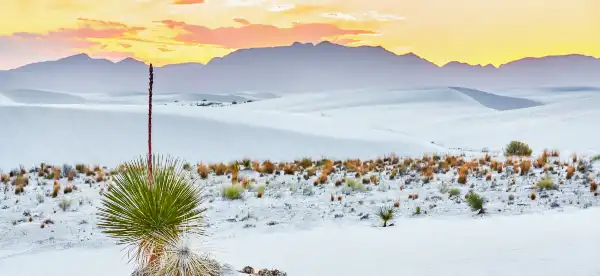 Hotels in Otero County