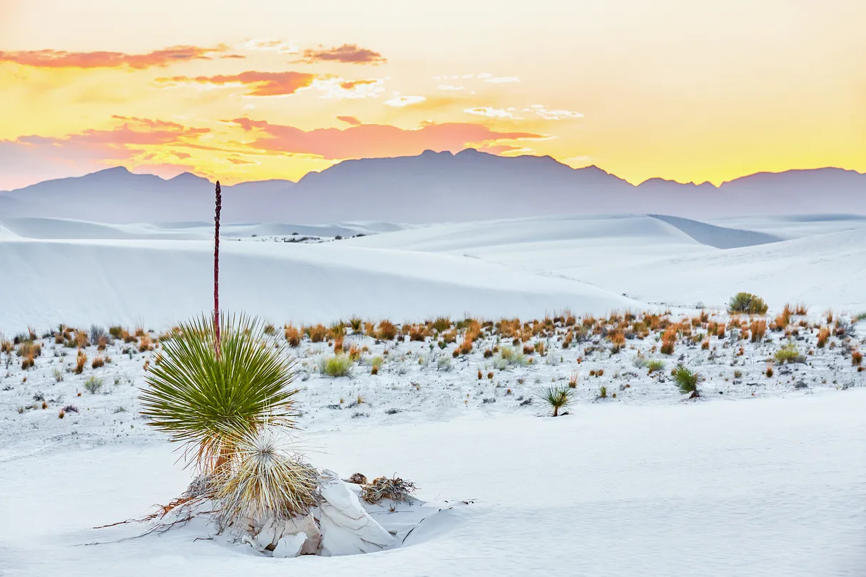 1_White Sands National Park