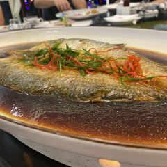 Longyilou User Photo