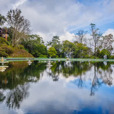 Vé máy bay giá rẻ của Royal Brunei Airlines đi Chiang Mai