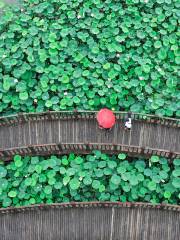 Hehuachi Park