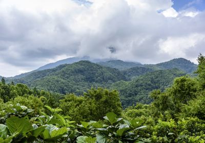 五指山