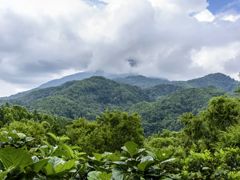 Wuzhishan