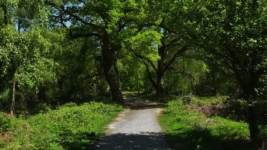 Haughmond Hill