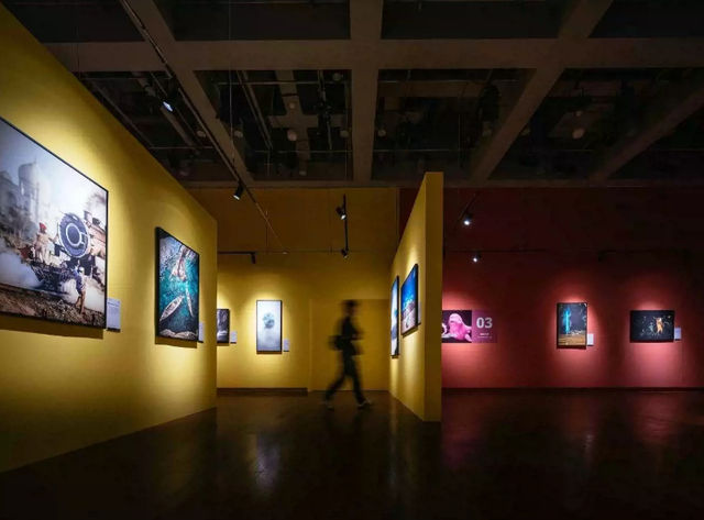 「福建首展」國家地理經典影像大展 | 福州
