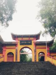 Zizhu Temple, Miaoyin Mountain