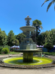 Plaza de Armas de San Carlos