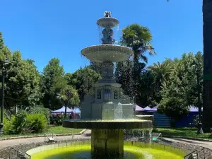 Plaza de Armas de San Carlos