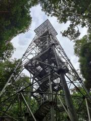 Observation Tower - MUSA