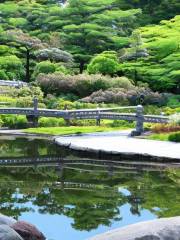 Shingu University Botanical Garden