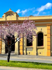 Castlemaine Library