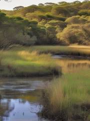 Midmar Nature Reserve