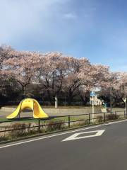 Shimotakaido Ozora Park