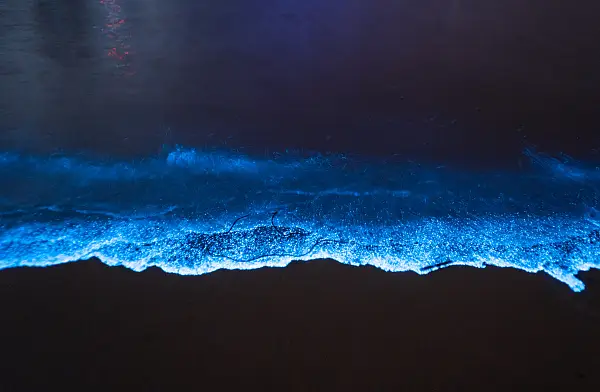 Blue Tears Viewing in Pingtan