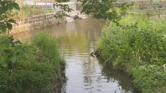 甸苴村