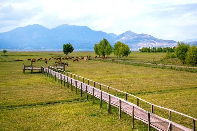 Yulong Horse Riding