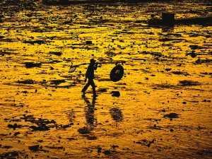 北海海灘尋寶