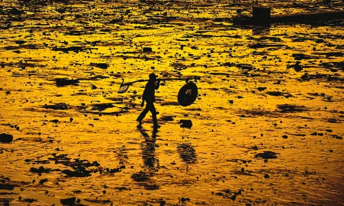 北海趕海