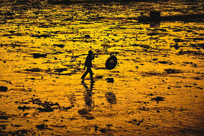 Beach Treasure Hunting in Beihai